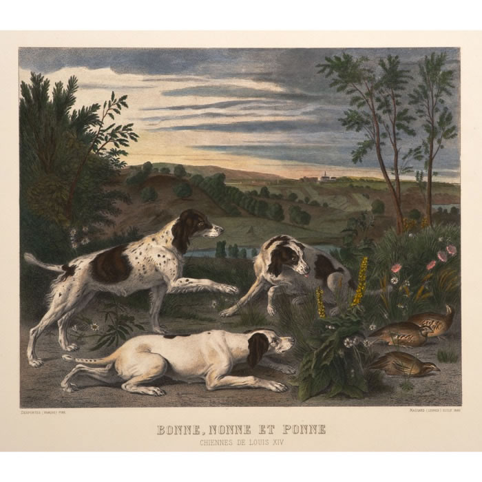 Bonne, Nonne and Ponne, dogs of Louis XIV, stalking partridges - Une estampe d’après François Desportes