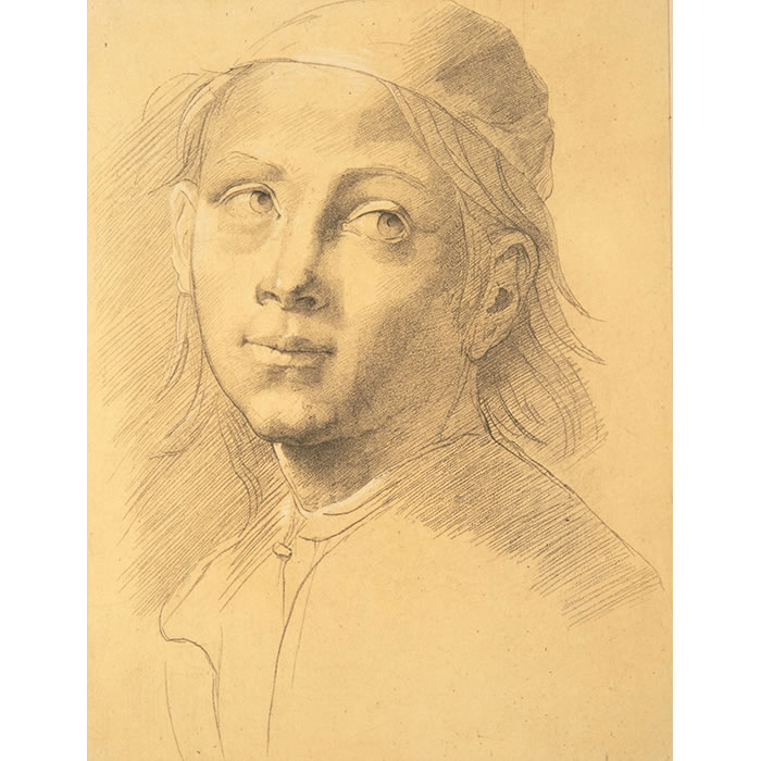 Tête de jeune homme - Une estampe d’après  Lorenzo di Credi