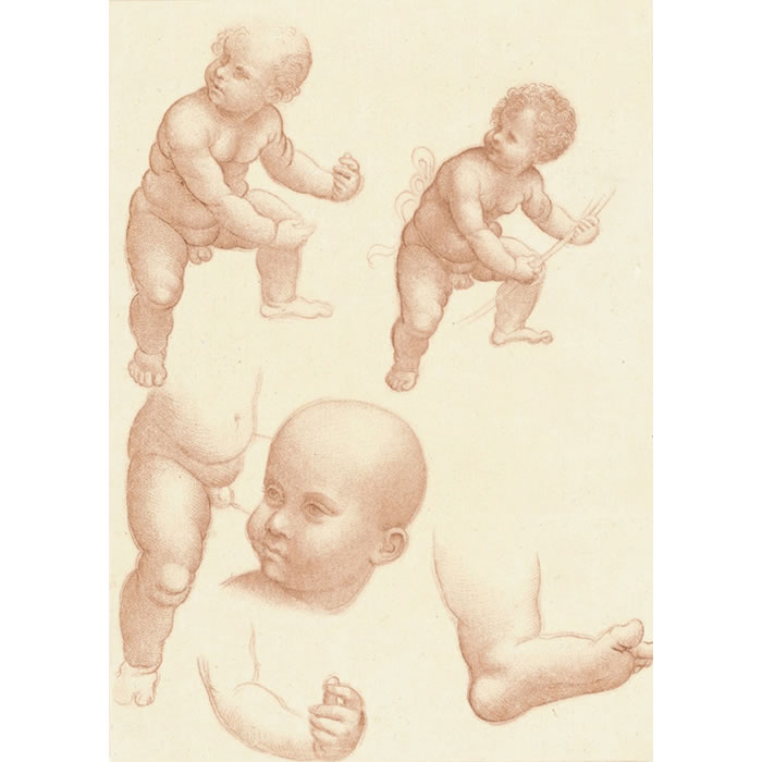 Étude d’enfant - Une estampe d’après Léonard de Vinci