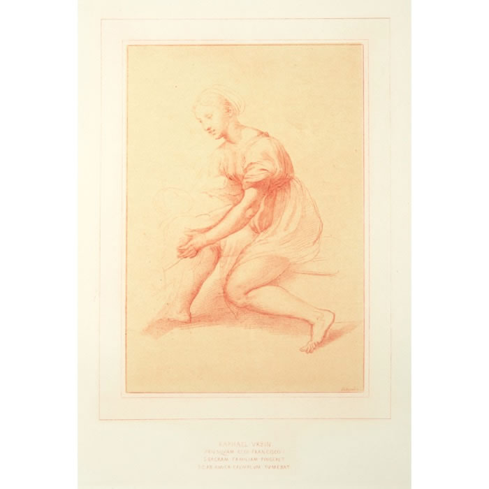 Study of the Virgin for the Holy Family of Francis I - Une estampe d’après  Raphael