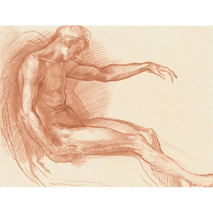 Study of the figure of a man - Une estampe d’après Andrea del Sarto