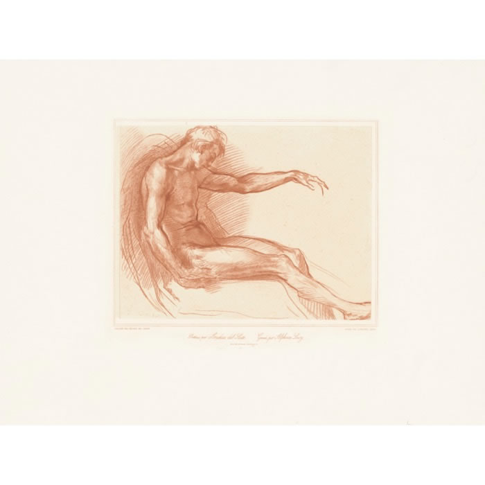 Study of the figure of a man - Une estampe d’après Andrea del Sarto