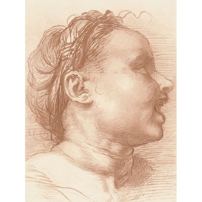 Tête d’enfant souriant, tourné à droite - Une estampe d’après  Andrea del Sarto