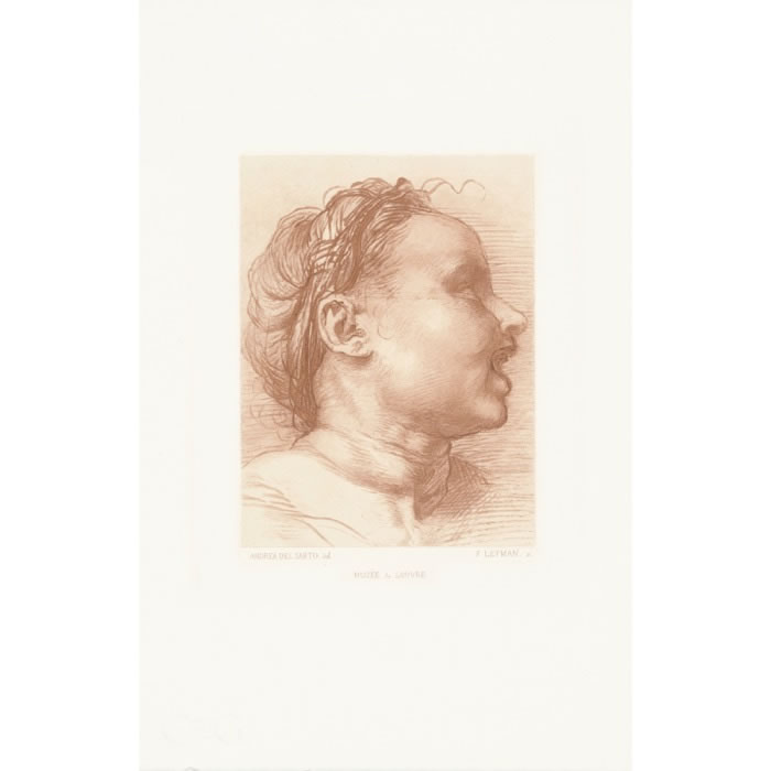 Tête d’enfant souriant, tourné à droite - Une estampe d’après  Andrea del Sarto