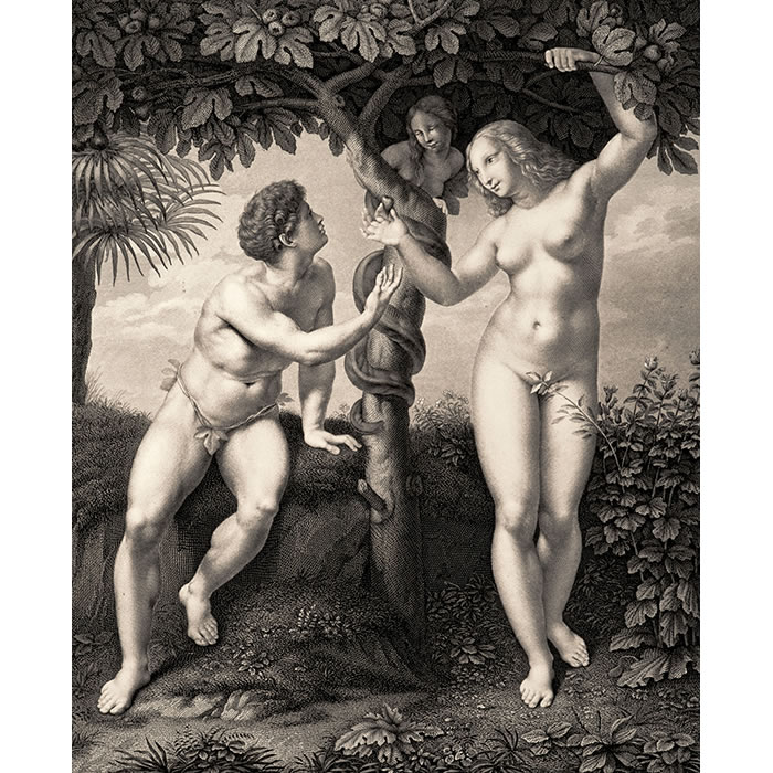 Adam and Eve - Une estampe d’après  Raphael