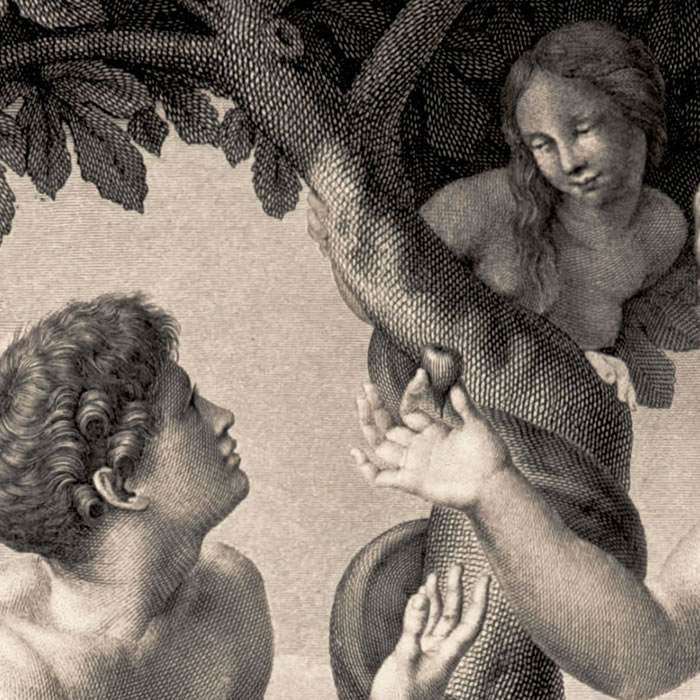 Adam and Eve - Une estampe d’après  Raphael