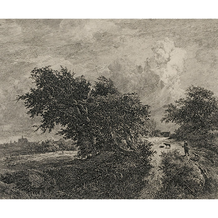 Le buisson - Une estampe d’après Jacob Isaacksz Van Ruisdael