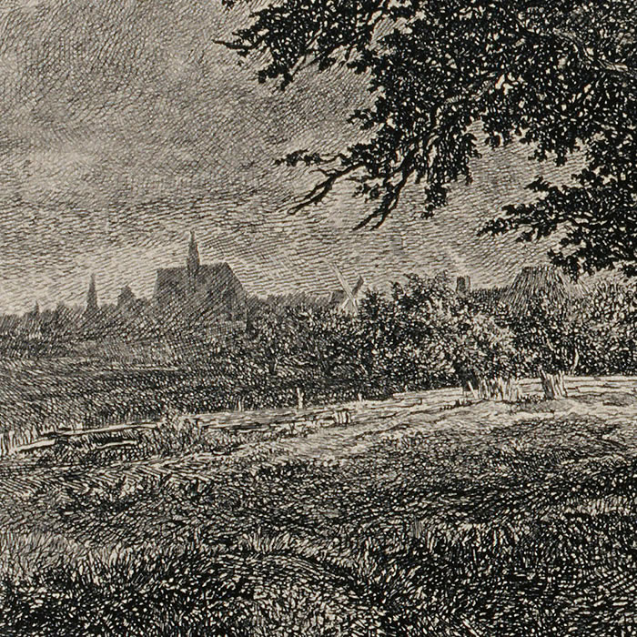 Le buisson - Une estampe d’après Jacob Isaacksz Van Ruisdael