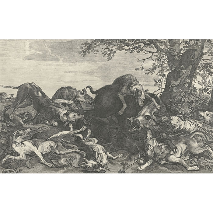 Chasse au sanglier - Une estampe d’après Paul de Vos