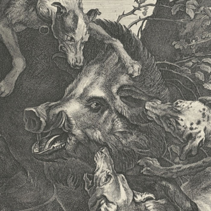 Chasse au sanglier - Une estampe d’après Paul de Vos
