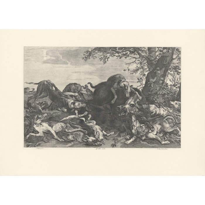 Chasse au sanglier - Une estampe d’après Paul de Vos