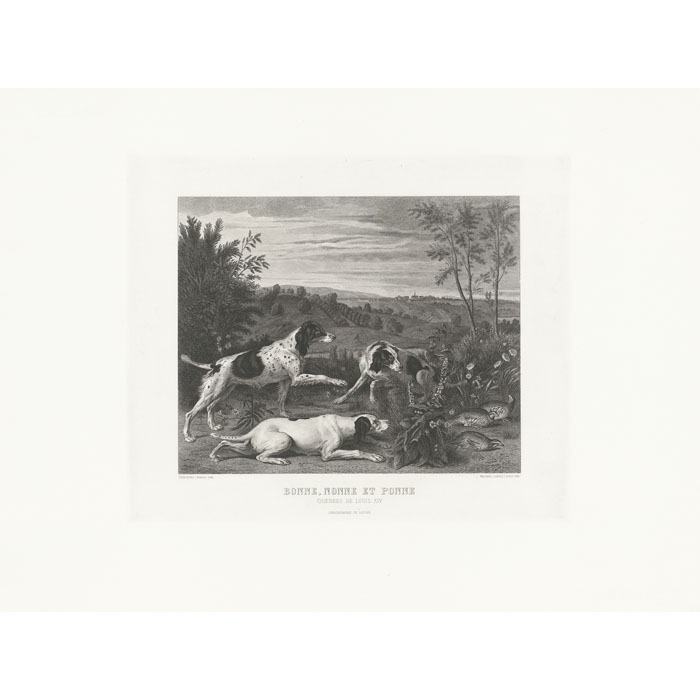 Bonne, Nonne et Ponne, chiennes de la meute de Louis XIV - Une estampe d’après François Desportes