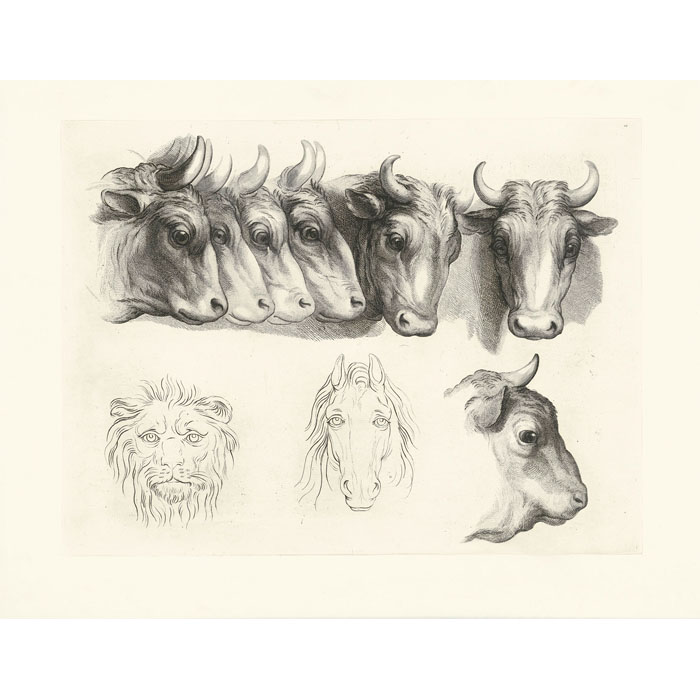 Têtes de bœufs, de lion et de cheval - Une estampe d’après Charles Le Brun
