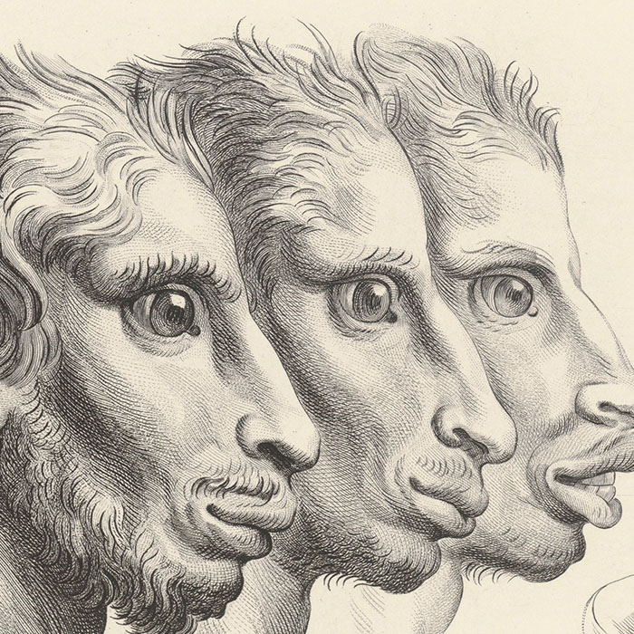 Deux têtes d’âne et Têtes d’homme à faciès d’âne - Une estampe d’après Charles Le Brun