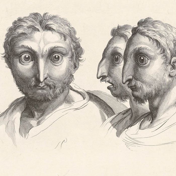 Têtes de chat-huant ou de chouette - Une estampe d’après Charles Le Brun