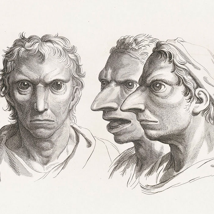 Trois têtes de corbeaux et trois têtes d’hommes en relation avec le corbeau - Une estampe d’après Charles Le Brun