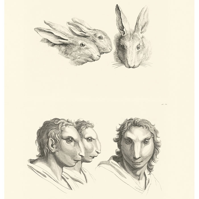 Three heads of hares and three heads of men as hares - Une estampe d’après Charles Le Brun