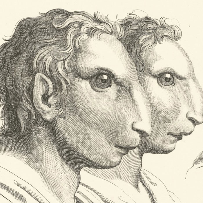 Three heads of hares and three heads of men as hares - Une estampe d’après Charles Le Brun