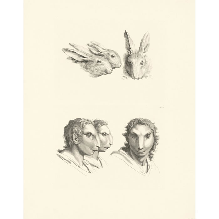 Three heads of hares and three heads of men as hares - Une estampe d’après Charles Le Brun