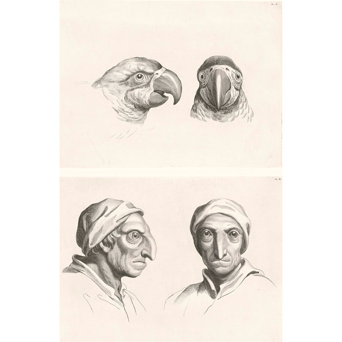 Deux têtes de perroquets et deux têtes d’hommes en relation avec le perroquet - Une estampe d’après Charles Le Brun