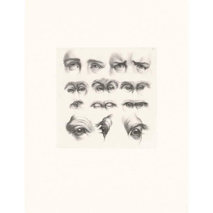 Yeux humains, yeux de singes et de chameaux - Une estampe d’après Charles Le Brun