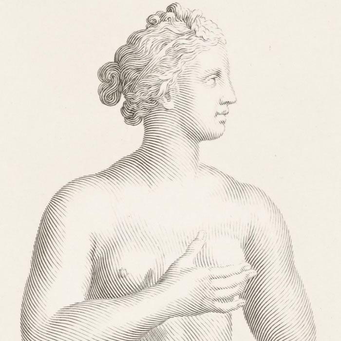 Vénus - Une estampe d’après Claude Mellan
