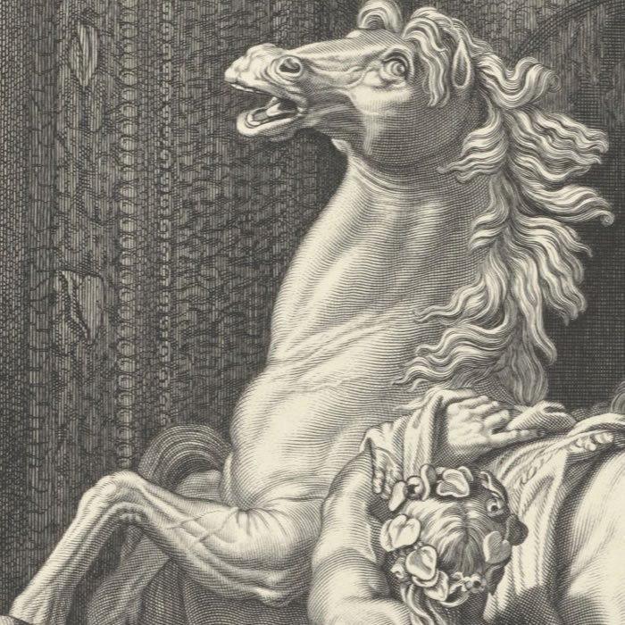 Two horses of the sun and two Tritons grooming them - Une estampe d’après Balthazar Marsy