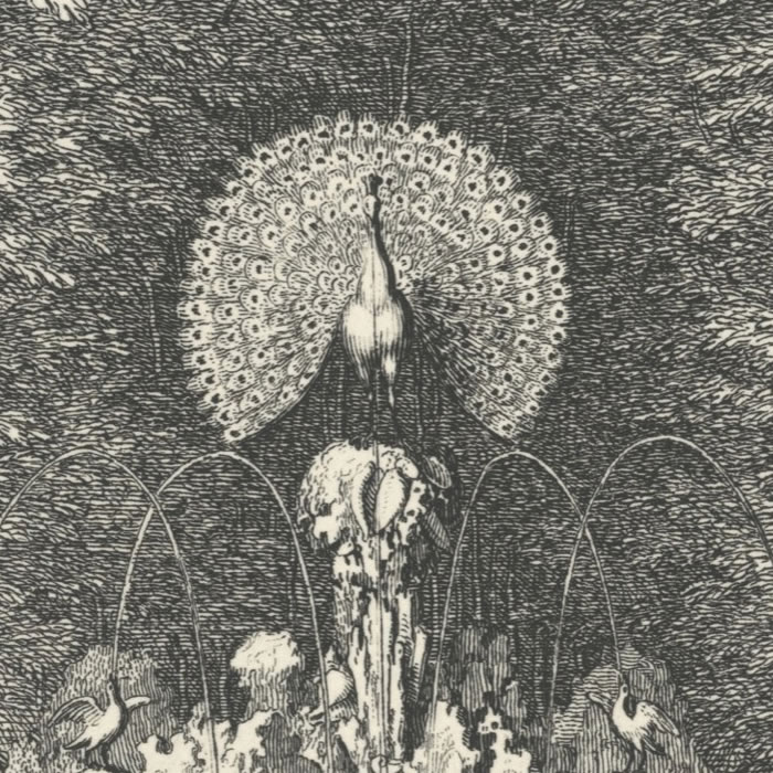 Le Paon et le Rossignol - Une estampe d’après Sébastien  Leclerc