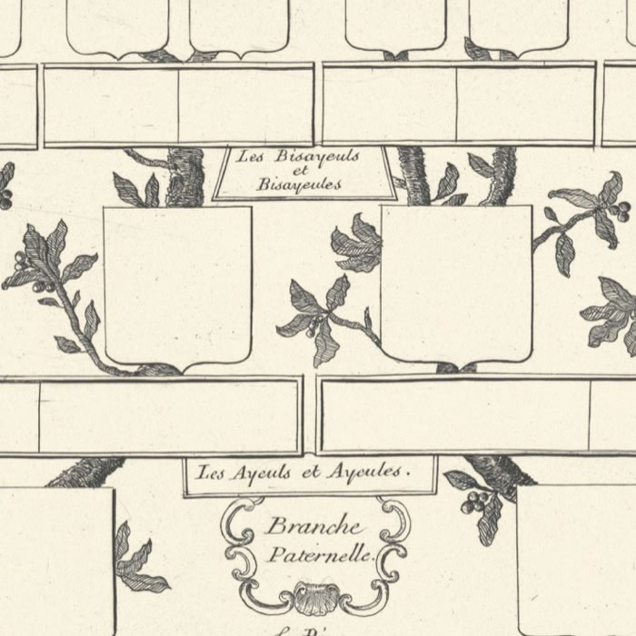 Arbre généalogique de 32 quartiers réservés en blanc - Une estampe d’après Louis-François Docaigne