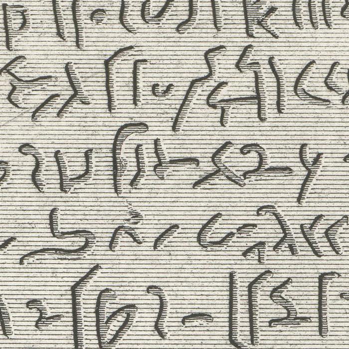 Stone found at Rosetta (middle part in Egyptian vulgata)