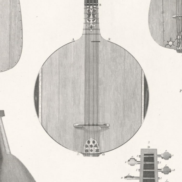 Instruments orientaux à cordes connus en Égypte - Une estampe d’après Guillaume André Villoteau
