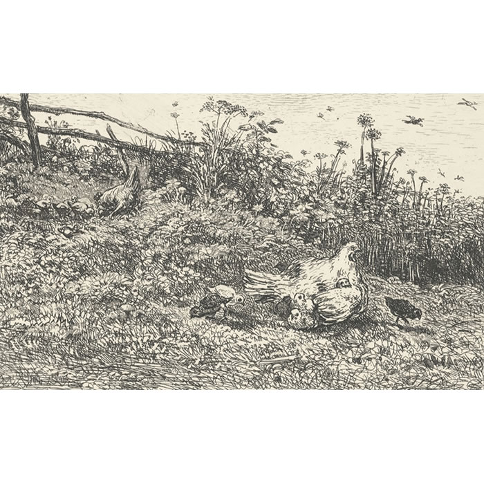 The Hen and the Chicks - Une estampe d’après Charles François Daubigny