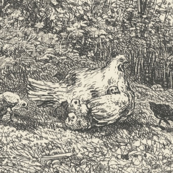 The Hen and the Chicks - Une estampe d’après Charles François Daubigny