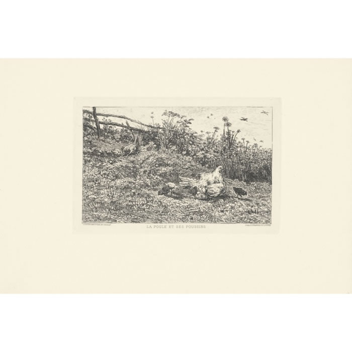The Hen and the Chicks - Une estampe d’après Charles François Daubigny