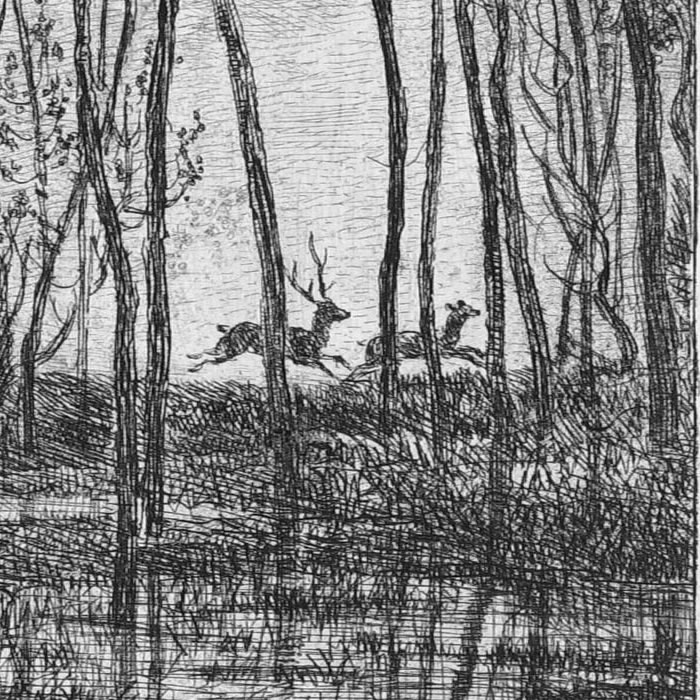 Les Cerfs sous bois - Une estampe d’après Charles François Daubigny