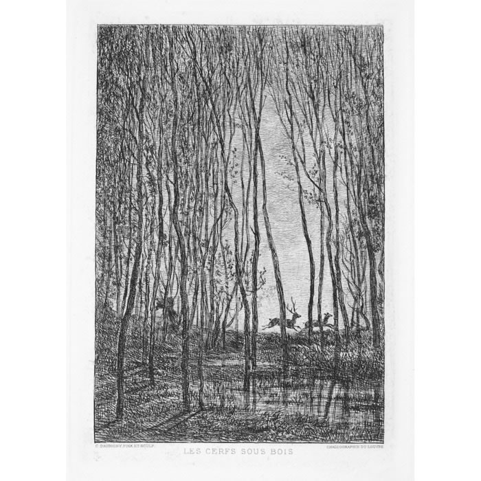 Les Cerfs sous bois - Une estampe d’après Charles François Daubigny
