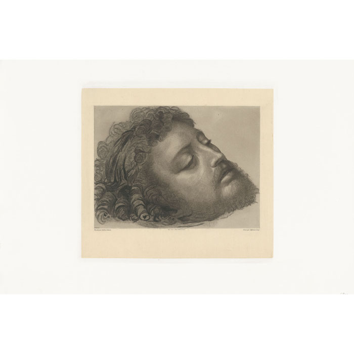 Saint Jean-Baptiste - Une estampe d’après Andrea Solario