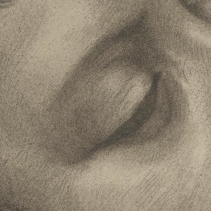 Saint Jean-Baptiste - Une estampe d’après Andrea Solario