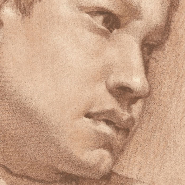 Tête de jeune garçon - Une estampe d’après Annibale Carracci