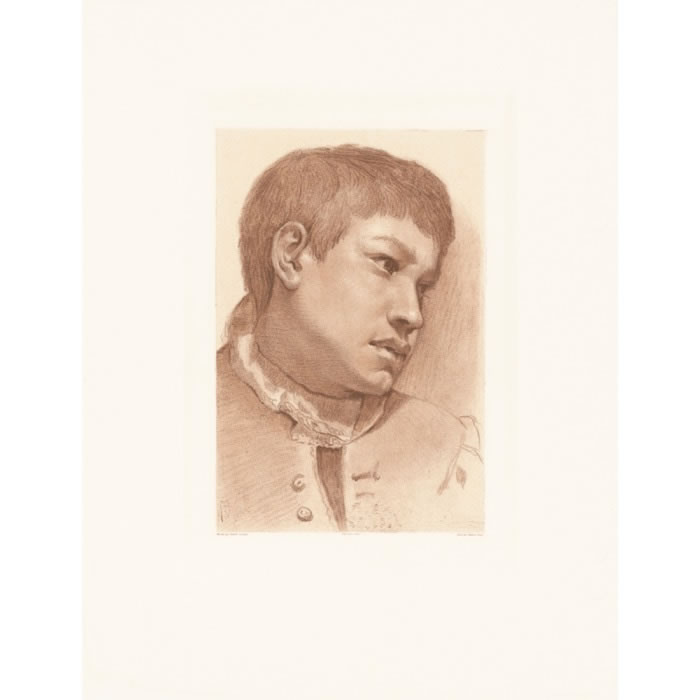 Tête de jeune garçon - Une estampe d’après Annibale Carracci