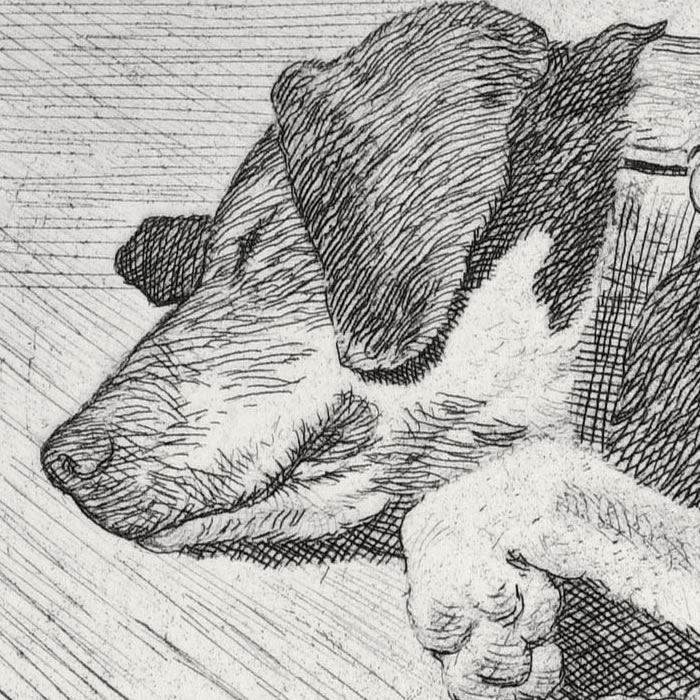 The sleeping dog - Une estampe d’après Emile-Frédéric Nicolle