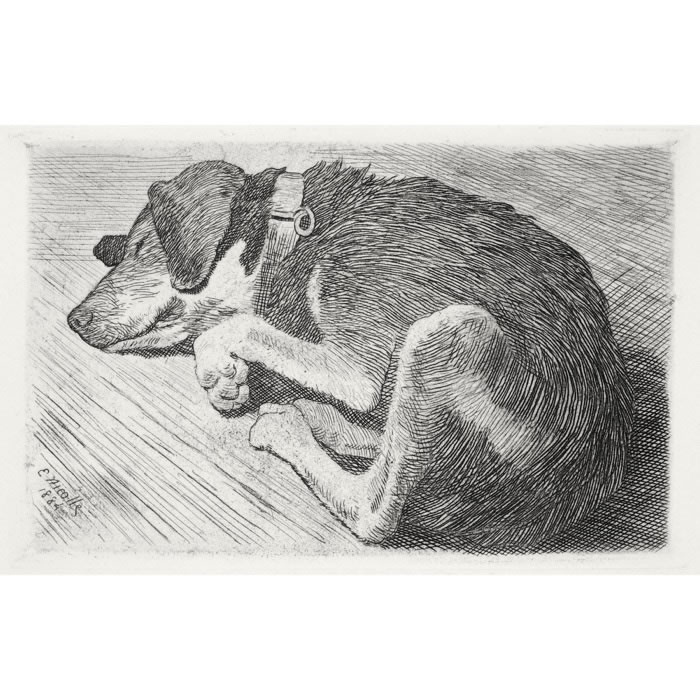 The sleeping dog - Une estampe d’après Emile-Frédéric Nicolle