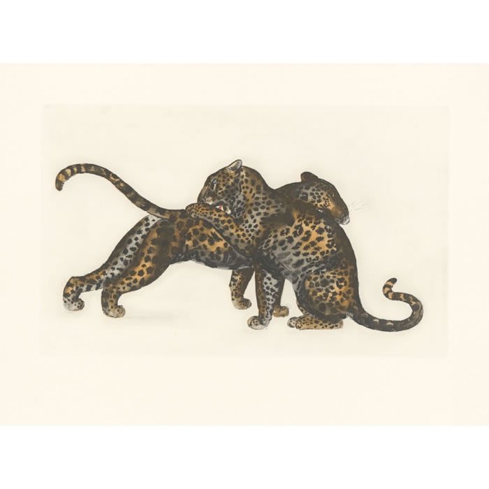 Jeux de léopards - Une estampe d’après Georges Lucien Guyot