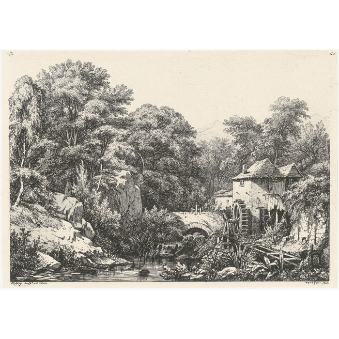 Old mills in the heart of a forest