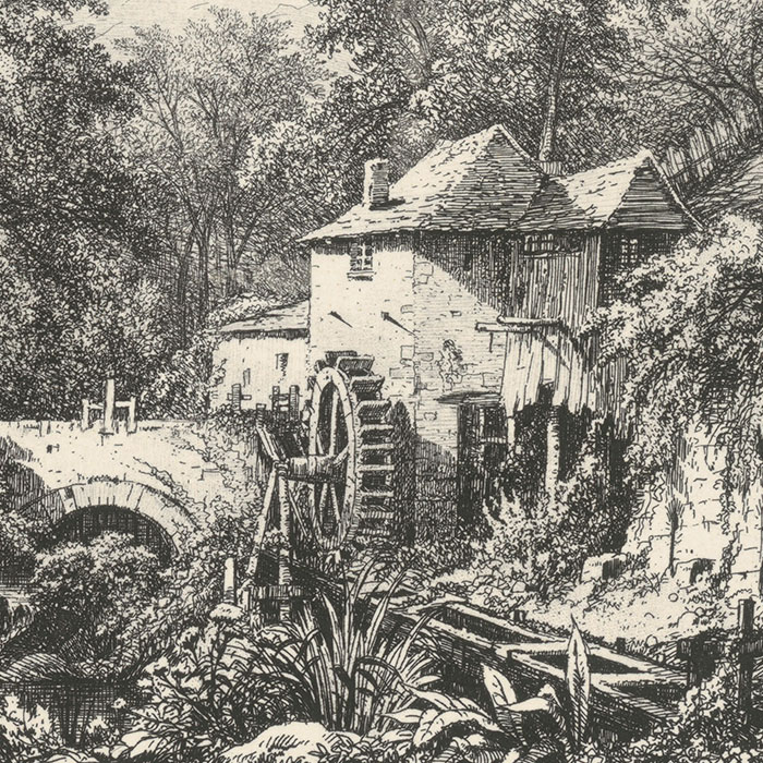 Old mills in the heart of a forest