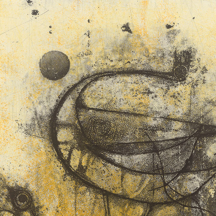 Oiseaux - Une estampe d’après Johnny Friedlaender