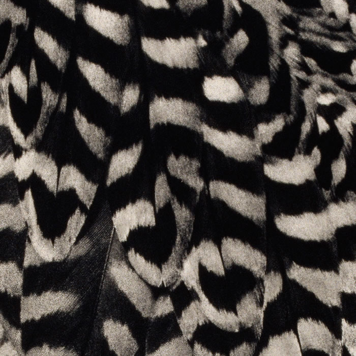 Brautkleid (La robe de la fiancée) - Une estampe d’après Balthasar Burkhard