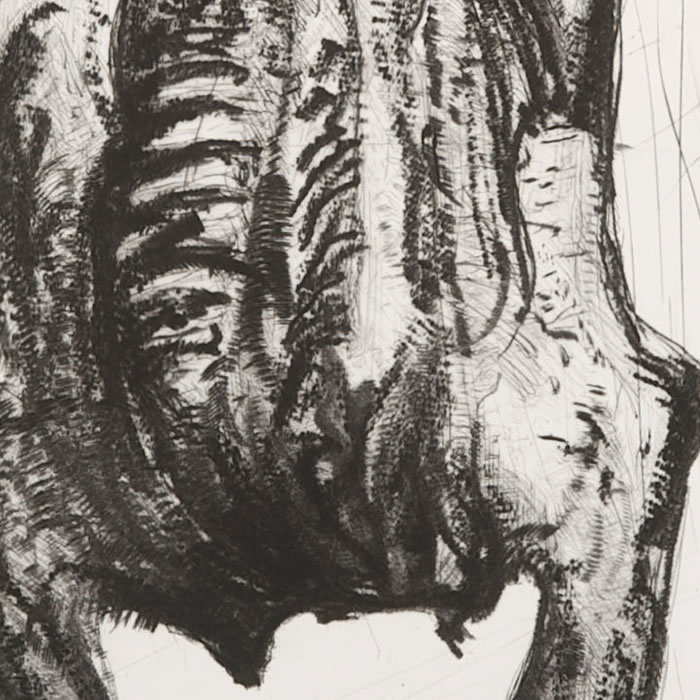 Carcasses - Une estampe d’après Philippe Cognée