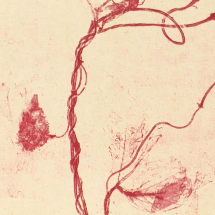 Celles qui disparaissent-celles qui se créent (Est) - Une estampe d’après Mireille Gros