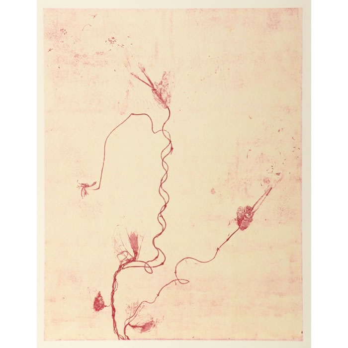 Celles qui disparaissent-celles qui se créent (Est) - Une estampe d’après Mireille Gros